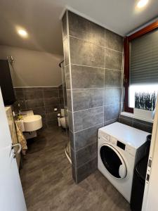 a bathroom with a washer and dryer in it at Cozy Airport Apartments in Velika Mlaka