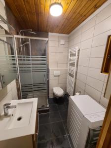 a bathroom with a shower and a toilet and a sink at Ferienhaus Voigt in Hude +19 photos