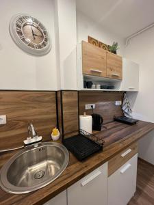 Köök või kööginurk majutusasutuses Apartmani Bajic