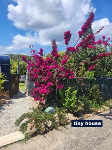Zahrada ubytování Dream Tiny House or Luxus Tent with pool