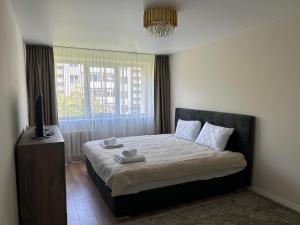 ein Schlafzimmer mit Bett, Fernseher und Fenster in der Unterkunft NESTAa in Druskininkai