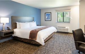 a hotel room with a large bed and a window at My Place Hotel-Jacksonville-Camp Lejeune, NC in Jacksonville