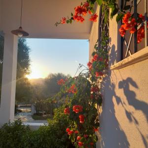Vonkajšia záhrada v ubytovaní Agriturismo Palas De Serra Country Resort