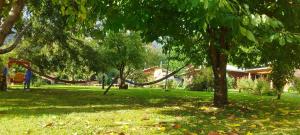 Jardí fora de Turismo Jaos Cabañas Tinas y Quincho