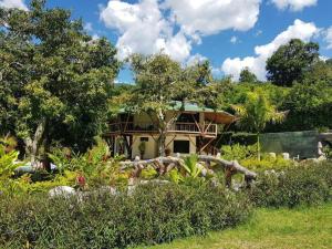 Zahrada ubytování Solvae Hotel