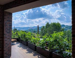 Φωτογραφία από το άλμπουμ του Gradina cu Soare σε Fundătura