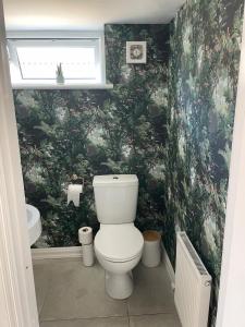 een badkamer met een toilet en een groene muur bij The Masters House, Castledermot in Feevaghmore