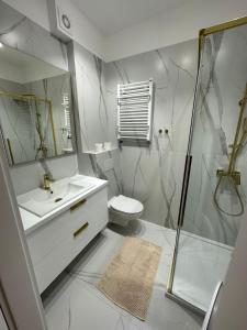 a bathroom with a shower and a sink and a toilet at Apartament Słupca in Słupca