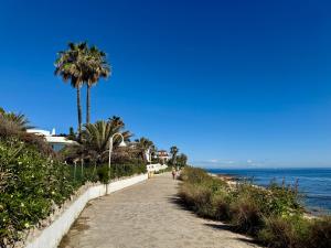 a path leading down to the beach with a palm tree at Apartamento Port Dénia in Denia