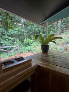 Taman di luar Coco Cabana in the Jungle