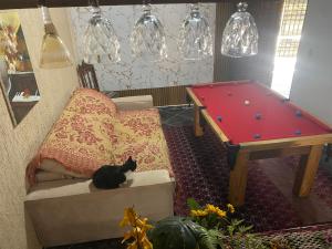 a black cat sitting on a couch next to a pool table at recanto Gonzales in Sarapuí