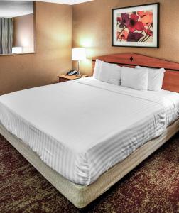 Postel nebo postele na pokoji v ubytování Crystal Inn Hotel & Suites - Midvalley