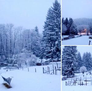 three pictures of a snow covered field with trees at Ferienhaus du Bourguignon, Lorraine in Saint-Quirin