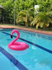 Billede fra billedgalleriet på Cabaña Calmy Ranch i Yopal + 7 billeder