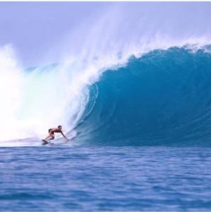 Επισκέπτες που μένουν στο Playgrounds Sabbit Mentawai Surfcamp
