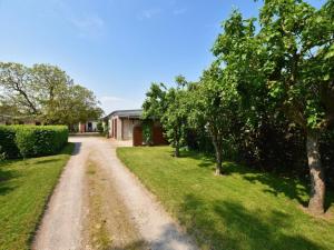 a dirt road in front of a house with trees at Hecht in Klütz
