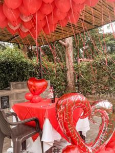 Billede fra billedgalleriet på Cabaña Calmy Ranch i Yopal