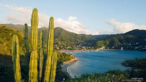 a group of cacti next to a beach next to the ocean at Hospedaje Casa Taganga in Santa Marta
