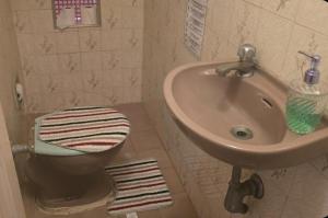 a bathroom with a sink and a toilet at Le house hostel in São Paulo