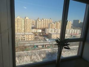 A general view of Peking or a view of the city taken from Az apartmant