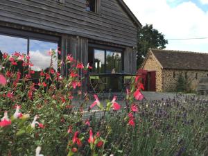 a garden with flowers in front of a house at Country-side house close to loire-valley castles in Sargé-sur-Braye