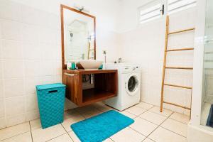 哥西尔Villa Au Coeur des Iles - Marina Gosier的一间带洗衣机和镜子的浴室