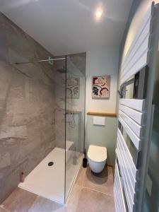 a bathroom with a shower and a toilet at Tour de château à Barbençon in Beaumont +9 photos