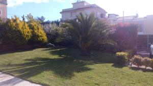 una palmera en un patio con un edificio en Villa K, en Áyios Konstandínos