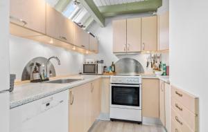 Kuchyň nebo kuchyňský kout v ubytování Awesome Home In Glesborg With Wifi