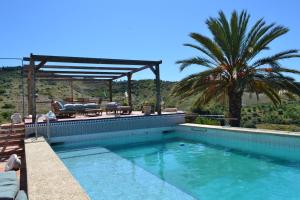 a swimming pool with a pergola and a palm tree at Finca Diego García - studio vue mer in Vélez-Málaga