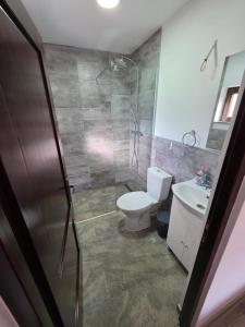 Ένα μπάνιο στο Vila Muntelui Colibita +21 φωτογραφίες