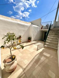 a plant in a pot on a patio with stairs at Casa Console in Conca dei Marini +11 photos