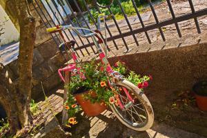 een roze fiets geparkeerd naast een hek met bloemen bij Apartments Dinko Zifra in Tivat