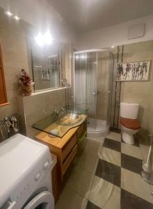 Koupelna v ubytování Club218 Holiday Apartman Siófok