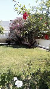 A garden outside Studios Casa Liaya