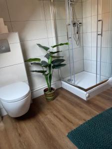 a bathroom with a toilet and a shower and a plant at Am Kesperbaum in Germerode