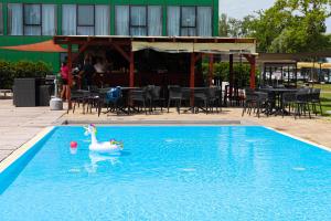 a white swan in the water in a swimming pool at BL lakeview Apartman in Balatonlelle