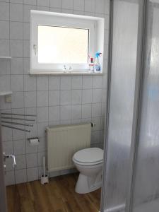 a bathroom with a toilet and a window at Ferienwohnung Nimritz in Oppurg