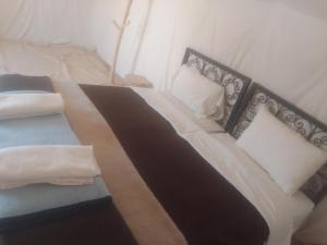 Gallery image of Sahara family camp in Merzouga
