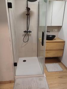 a shower with a glass door in a bathroom at Cosy -confort appartment in Antwerp +20 photos
