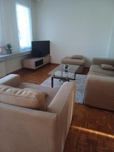 a living room with two couches and a tv at Cosy -confort appartment in Antwerp