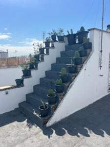 Foto dalla galleria di Domus Olea & Opuntia Salento a Galatone