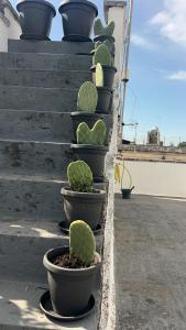 Balcone o terrazza di Domus Olea & Opuntia Salento