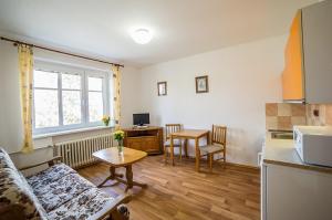 a kitchen and a living room with a couch and a table at Pension Jana in Český Krumlov