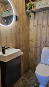 a bathroom with a toilet and a sink and a mirror at Cabin Lillehammer, Nordseter, Sjusjøen in Lillehammer