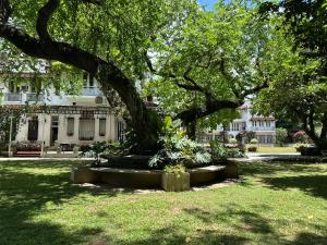 Κήπος έξω από το MiraNamin Nest LIRYO Suite in Unique Historic Home - Garden Access, Family Friendly, Shared Kitchen +33 φωτογραφίες