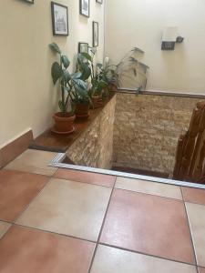 a lobby with potted plants on a counter at Rami House central double rooms in Braşov +30 photos