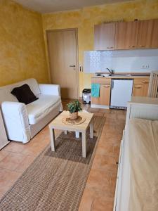Η κουζίνα ή μικρή κουζίνα στο Studiowohnung zentral in Geisenheim 1-2 Personen