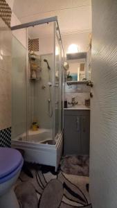 a bathroom with a shower and a toilet at Panoramic Tower Room in Piatra Neamţ +17 photos