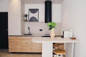 Kuchyň nebo kuchyňský kout v ubytování Apartman K&M